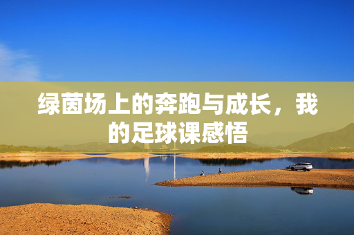 绿茵场上的奔跑与成长，我的足球课感悟