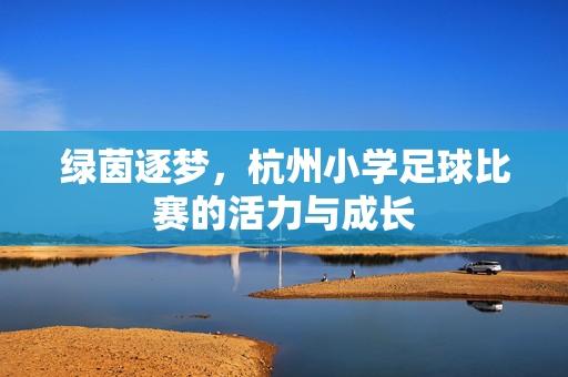 绿茵逐梦，杭州小学足球比赛的活力与成长