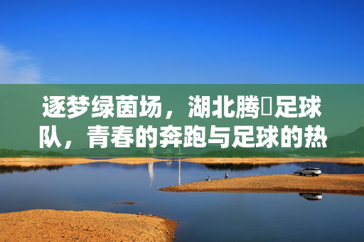 逐梦绿茵场，湖北腾喆足球队，青春的奔跑与足球的热爱