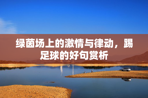 绿茵场上的激情与律动，踢足球的好句赏析