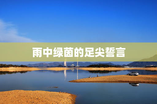 雨中绿茵的足尖誓言