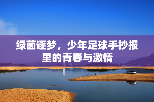 绿茵逐梦，少年足球手抄报里的青春与激情