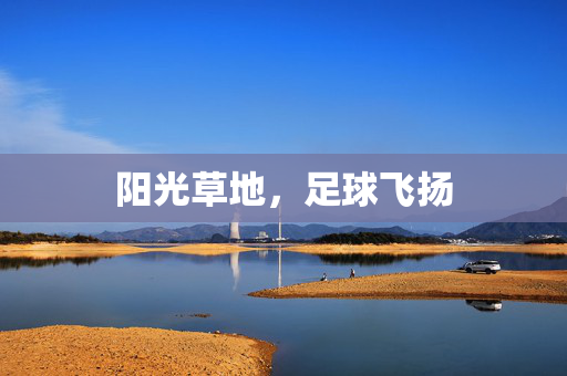 阳光草地，足球飞扬