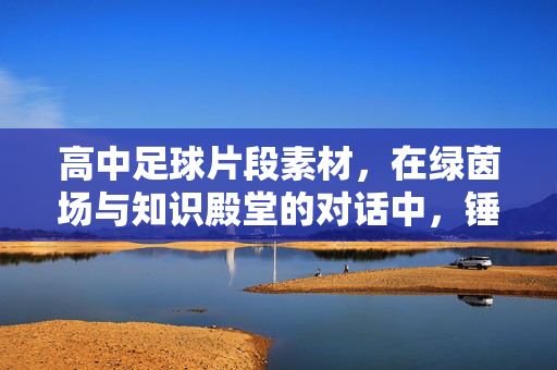 高中足球片段素材，在绿茵场与知识殿堂的对话中，锤炼思辨与协作的青春智慧