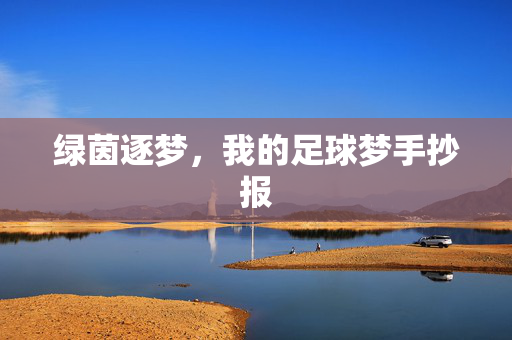 绿茵逐梦，我的足球梦手抄报