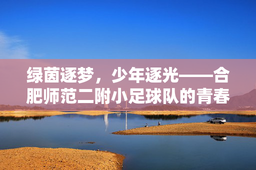 绿茵逐梦，少年逐光——合肥师范二附小足球队的青春足迹与成长故事