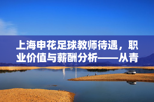 上海申花足球教师待遇，职业价值与薪酬分析——从青训视角看行业前景，上海申花足球教师待遇、职业价值与薪酬分析，从青训视角看行业前景