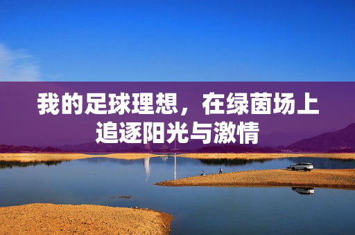我的足球理想，在绿茵场上追逐阳光与激情