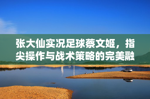 张大仙实况足球蔡文姬，指尖操作与战术策略的完美融合，让奶妈角色焕发新光彩，张大仙实况足球蔡文姬，指尖操作与战术策略的完美融合，让奶妈角色焕发新光彩