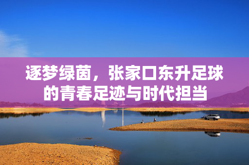 逐梦绿茵，张家口东升足球的青春足迹与时代担当