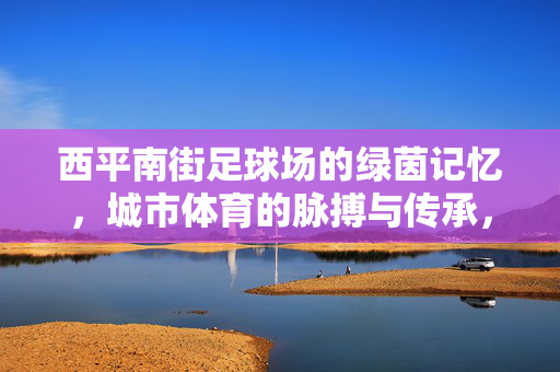 西平南街足球场的绿茵记忆，城市体育的脉搏与传承，西平南街足球场的绿茵记忆，城市体育的脉搏与传承