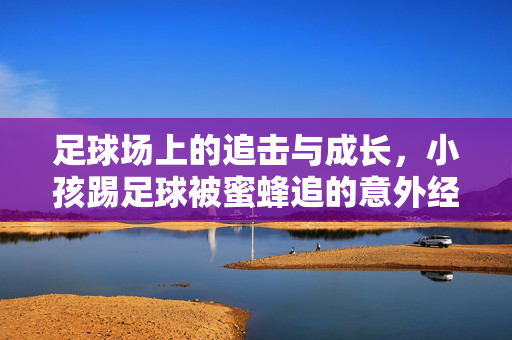 足球场上的追击与成长，小孩踢足球被蜜蜂追的意外经历，足球场上的意外追击，蜜蜂与小孩的成长故事