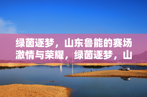 绿茵逐梦，山东鲁能的赛场激情与荣耀，绿茵逐梦，山东鲁能的赛场激情与荣耀