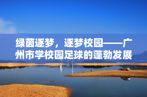 绿茵逐梦，逐梦校园——广州市学校园足球的蓬勃发展，绿茵逐梦，逐梦校园——广州市学校园足球的蓬勃发展