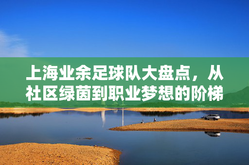 上海业余足球队大盘点，从社区绿茵到职业梦想的阶梯——探寻上海足球的草根力量，上海业余足球队，从社区绿茵到职业梦想的阶梯，探寻足球的草根力量