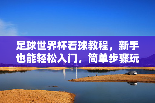 足球世界杯看球教程，新手也能轻松入门，简单步骤玩转赛事，足球世界杯看球教程，新手轻松入门，简单步骤玩转赛事