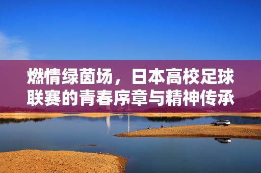 燃情绿茵场，日本高校足球联赛的青春序章与精神传承，燃情绿茵场，日本高校足球联赛的青春序章与精神传承