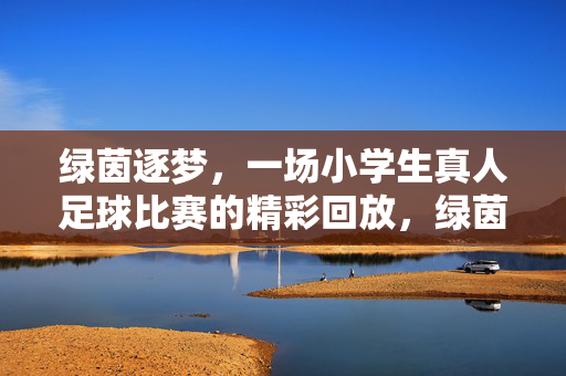 绿茵逐梦，一场小学生真人足球比赛的精彩回放，绿茵逐梦，一场小学生真人足球比赛的精彩回放