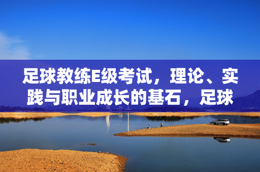 足球教练E级考试，理论、实践与职业成长的基石，足球教练E级考试，理论、实践与职业成长的基石
