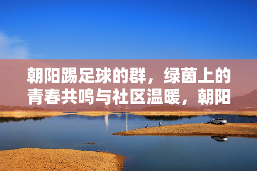朝阳踢足球的群，绿茵上的青春共鸣与社区温暖，朝阳踢足球的群，绿茵上的青春共鸣与社区温暖