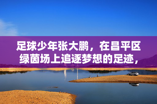 足球少年张大鹏，在昌平区绿茵场上追逐梦想的足迹，足球少年张大鹏，在昌平区绿茵场上追逐梦想的足迹