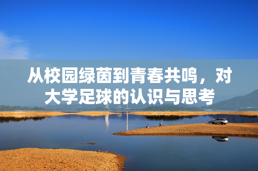 从校园绿茵到青春共鸣，对大学足球的认识与思考