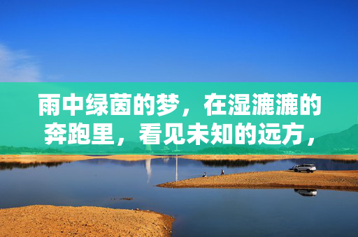 雨中绿茵的梦，在湿漉漉的奔跑里，看见未知的远方，雨中绿茵的奔跑，看见未知的远方