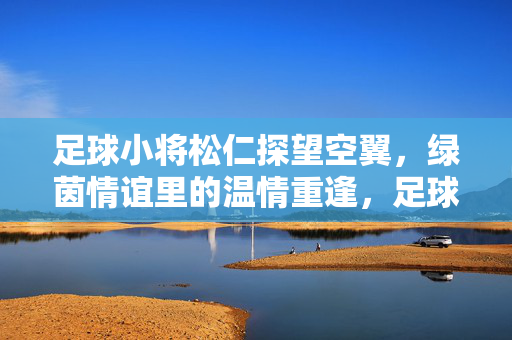 足球小将松仁探望空翼，绿茵情谊里的温情重逢，足球小将松仁探望空翼，绿茵情谊里的温情重逢