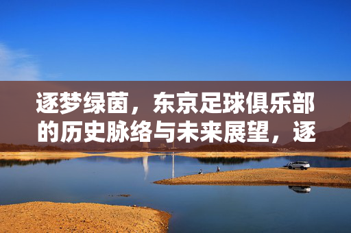 逐梦绿茵，东京足球俱乐部的历史脉络与未来展望，逐梦绿茵，东京足球俱乐部的历史脉络与未来展望