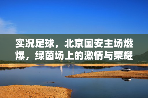实况足球，北京国安主场燃爆，绿茵场上的激情与荣耀，实况足球，北京国安主场燃爆，绿茵场上的激情与荣耀