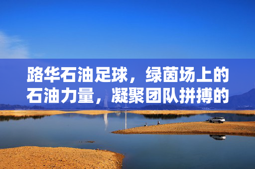 路华石油足球，绿茵场上的石油力量，凝聚团队拼搏的璀璨篇章，路华石油足球，绿茵场上的石油力量，凝聚团队拼搏的璀璨篇章