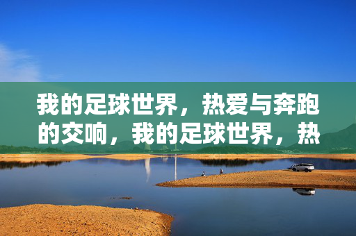 我的足球世界，热爱与奔跑的交响，我的足球世界，热爱与奔跑的交响