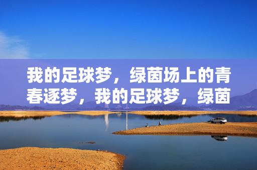 我的足球梦，绿茵场上的青春逐梦，我的足球梦，绿茵场上的青春逐梦