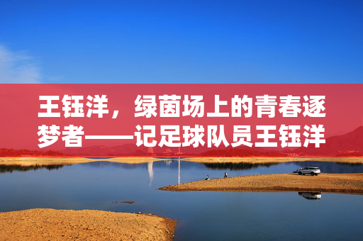 王钰洋，绿茵场上的青春逐梦者——记足球队员王钰洋的奋斗与成长，王钰洋，绿茵场上的青春逐梦者——记足球队员王钰洋的奋斗与成长