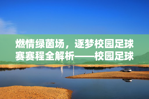 燃情绿茵场，逐梦校园足球赛赛程全解析——校园足球赛赛程安排与精彩看点，燃情绿茵场，逐梦校园足球赛赛程全解析——校园足球赛赛程安排与精彩看点