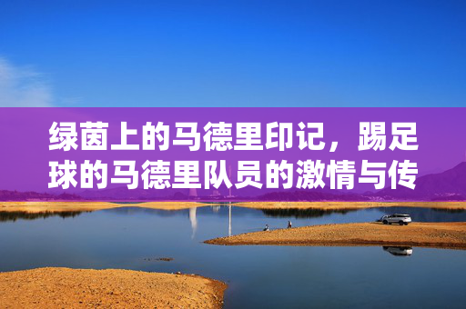 绿茵上的马德里印记，踢足球的马德里队员的激情与传承，绿茵上的马德里印记，踢足球者的激情与传承