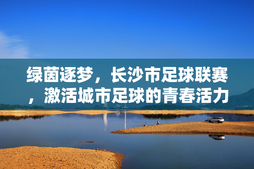 绿茵逐梦，长沙市足球联赛，激活城市足球的青春活力与社区共鸣，绿茵逐梦，长沙市足球联赛激活城市足球的青春活力与社区共鸣