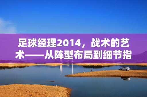 足球经理2014，战术的艺术——从阵型布局到细节指令的深度解析，足球经理2014，战术的艺术——从阵型布局到细节指令的深度解析