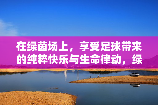 在绿茵场上，享受足球带来的纯粹快乐与生命律动，绿茵场上，足球带来的纯粹快乐与生命律动