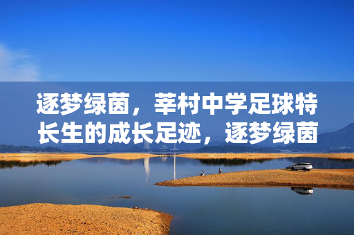 逐梦绿茵，莘村中学足球特长生的成长足迹，逐梦绿茵，莘村中学足球特长生的成长足迹