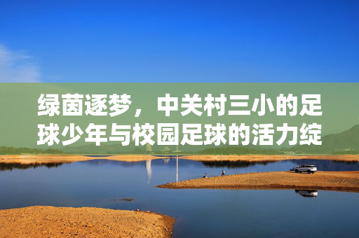 绿茵逐梦，中关村三小的足球少年与校园足球的活力绽放