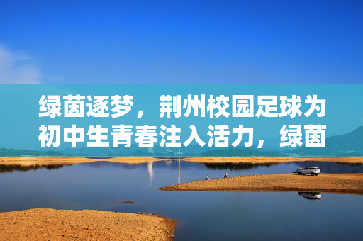 绿茵逐梦，荆州校园足球为初中生青春注入活力，绿茵逐梦，荆州校园足球为初中生青春注入活力