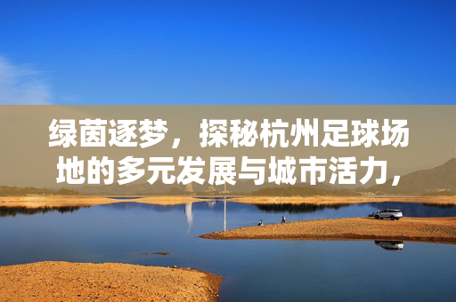 绿茵逐梦,探秘杭州足球场地的多元发展与城市活力,绿茵逐梦,探秘杭州足球场地的多元发展与城市活力