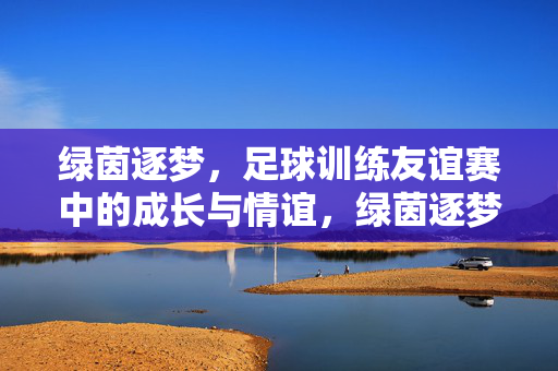 绿茵逐梦，足球训练友谊赛中的成长与情谊，绿茵逐梦，足球训练友谊赛中的成长与情谊