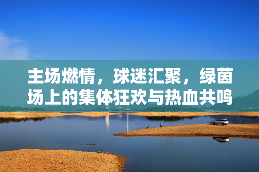 主场燃情，球迷汇聚，绿茵场上的集体狂欢与热血共鸣，主场燃情，球迷汇聚，绿茵场上的集体狂欢与热血共鸣