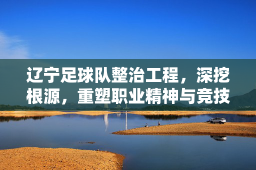辽宁足球队整治工程，深挖根源，重塑职业精神与竞技根基，辽宁足球队整治工程，深挖根源，重塑职业精神与竞技根基