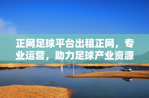 正网足球平台出租正网，专业运营，助力足球产业资源整合与价值提升，正网足球平台出租，专业运营赋能足球产业资源整合与价值提升