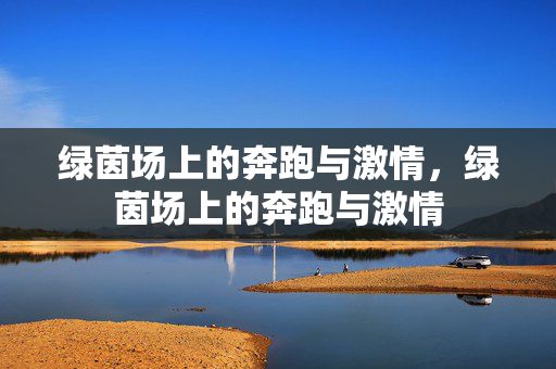 绿茵场上的奔跑与激情，绿茵场上的奔跑与激情