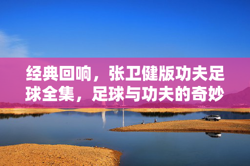 经典回响，张卫健版功夫足球全集，足球与功夫的奇妙结合，热血与欢笑的永恒记忆，经典回响，张卫健版功夫足球全集，足球与功夫的奇妙结合，热血与欢笑的永恒记忆