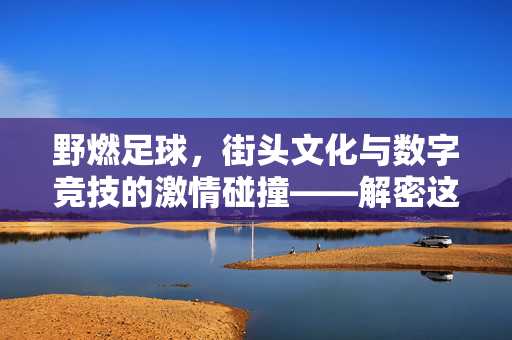 野燃足球，街头文化与数字竞技的激情碰撞——解密这款风靡的足球游戏，野燃足球，街头文化与数字竞技的激情碰撞——解密这款风靡的足球游戏